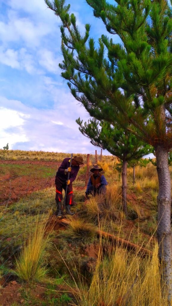 59cdd77b-2ed2-450f-b143-dd02e8be59cf